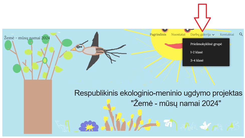 Rezultatai